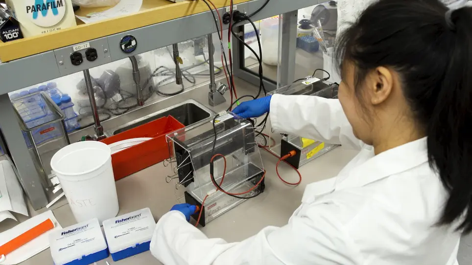 Fluorescent Visualization of Mango-tagged RNA in Polyacrylamide Gels via a Poststaining Method