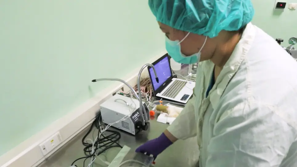 Simultaneous Electrocardiography Recording and Invasive Blood Pressure Measurement in Rats