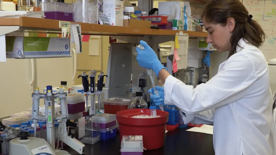 Extraction of Extracellular Vesicles from Whole Tissue