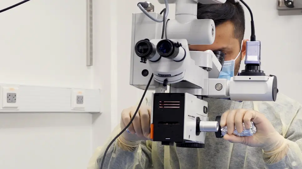 Facial Nerve Surgery in the Rat Model to Study Axonal Inhibition and Regeneration