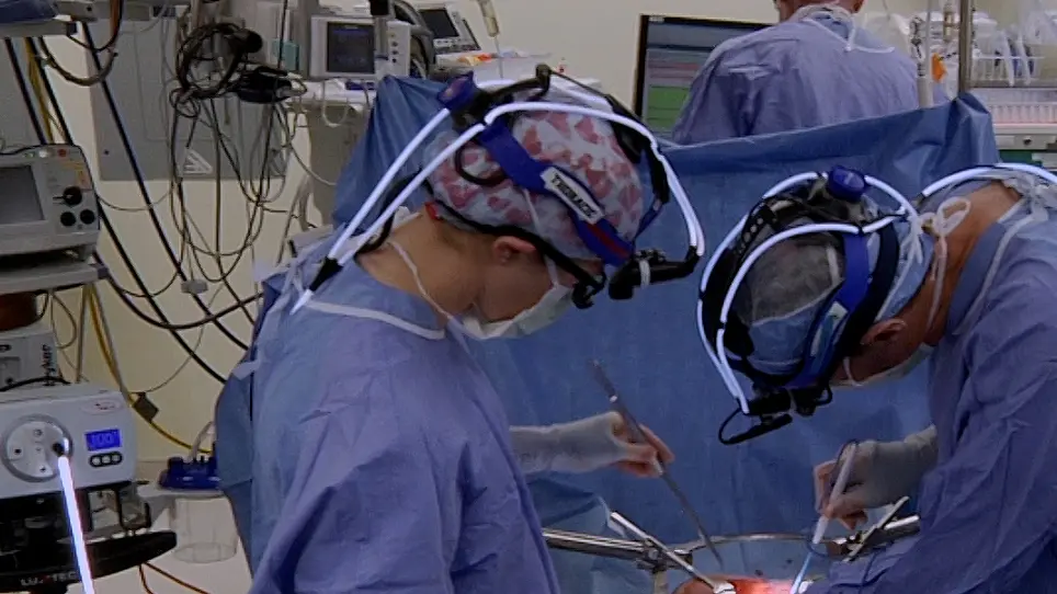 An Ivor Lewis Esophagectomy Designed to Minimize Anastomotic Complications and Optimize Conduit Function