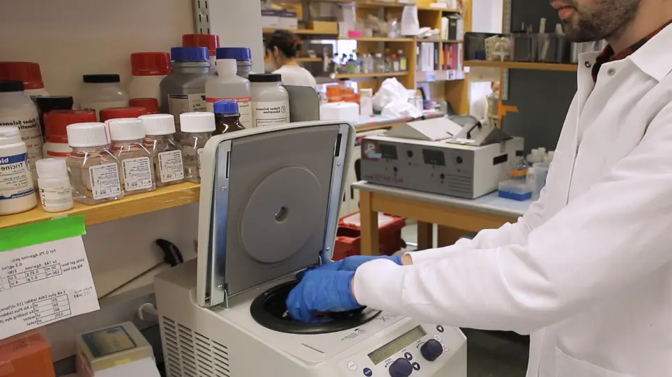 Rapid Lipid Droplet Isolation Protocol Using a Well-established Organelle Isolation Kit