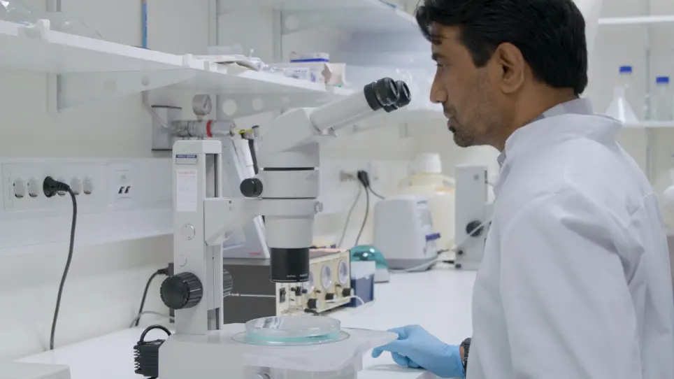 Rapid Evaluation of Toxicity of Chemical Compounds Using Zebrafish Embryos