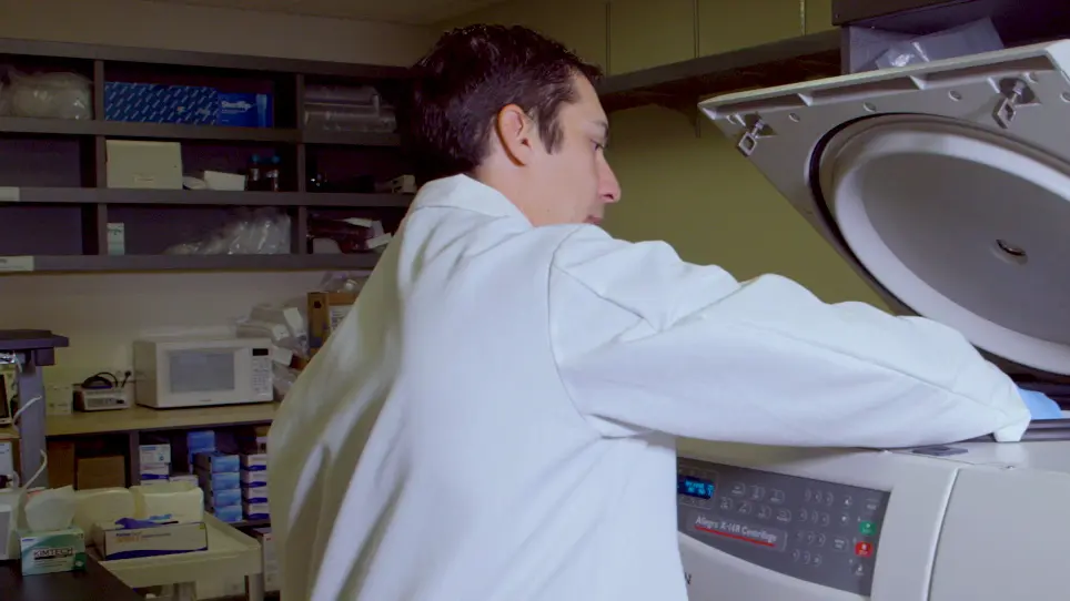 An Automated Method to Perform The In Vitro Micronucleus Assay using Multispectral Imaging Flow Cytometry