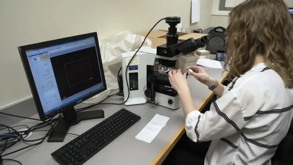 Sequential Immunofluorescence and Immunohistochemistry on Cryosectioned Zebrafish Embryos