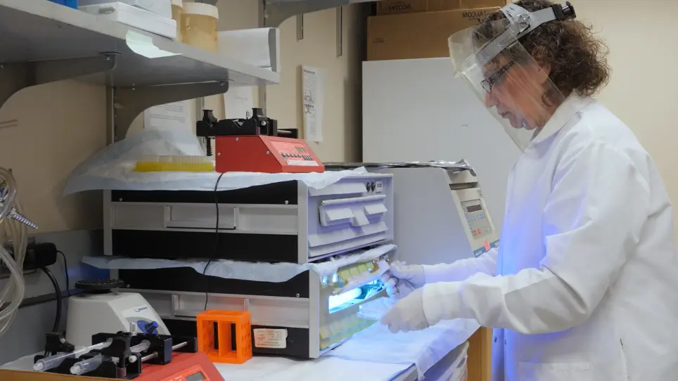 Novel Protocol for Generating Physiologic Immunogenic Dendritic Cells