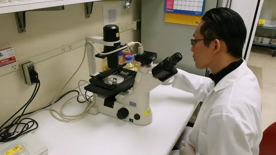 Thawing, Culturing, and Cryopreserving <em>Drosophila</em> Cell Lines