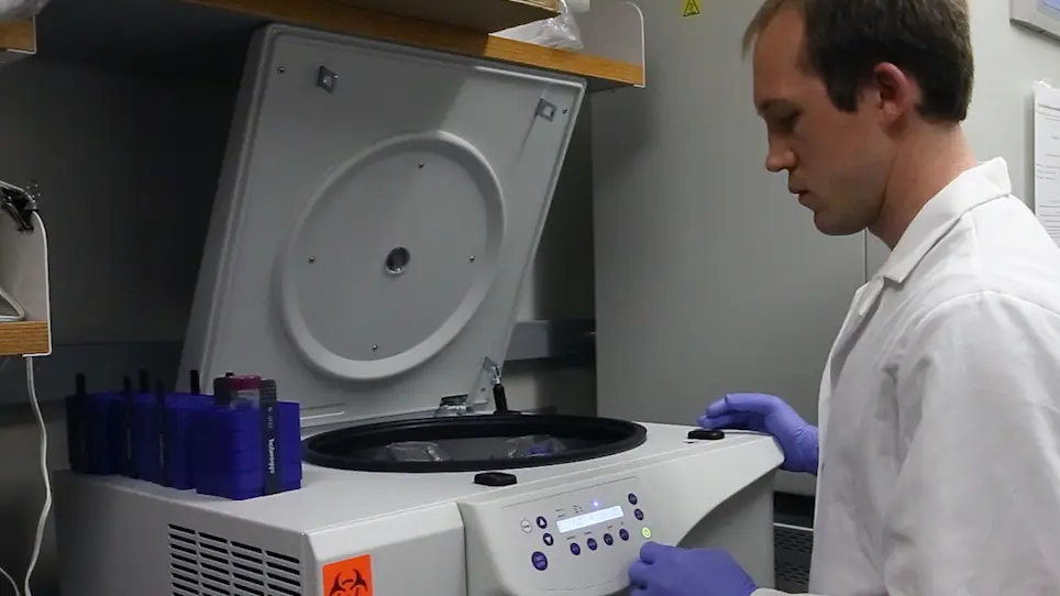 Rapid Generation of Primary Murine Melanocyte and Fibroblast Cultures
