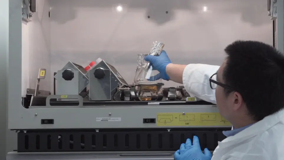 Three-dimensional Patterning of Engineered Biofilms with a Do-it-yourself Bioprinter