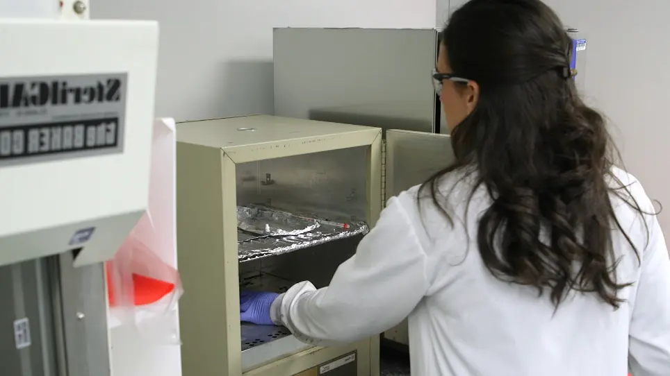 Capturing Small Molecule Communication Between Tissues and Cells Using Imaging Mass Spectrometry