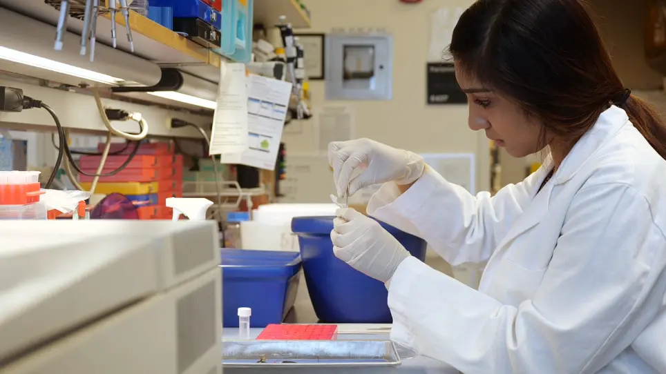 Identification and Dissection of Diverse Mouse Adipose Depots