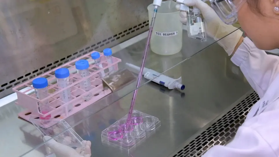 Toxicity Study of Zinc Oxide Nanoparticles in Cell Culture and in <em>Drosophila melanogaster</em>