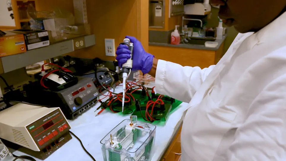 Atomic Absorbance Spectroscopy to Measure Intracellular Zinc Pools in Mammalian Cells