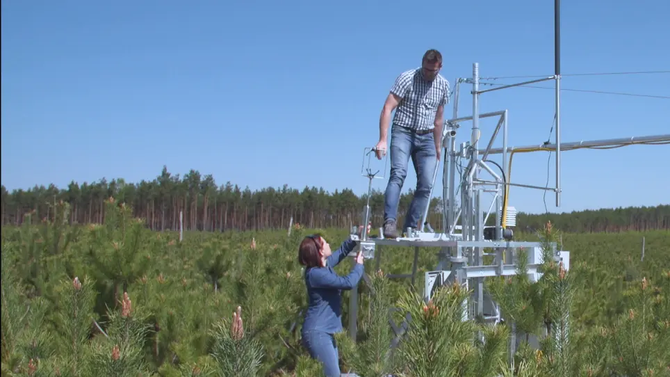 Measurements of CO<sub>2</sub> Fluxes at Non-Ideal Eddy Covariance Sites