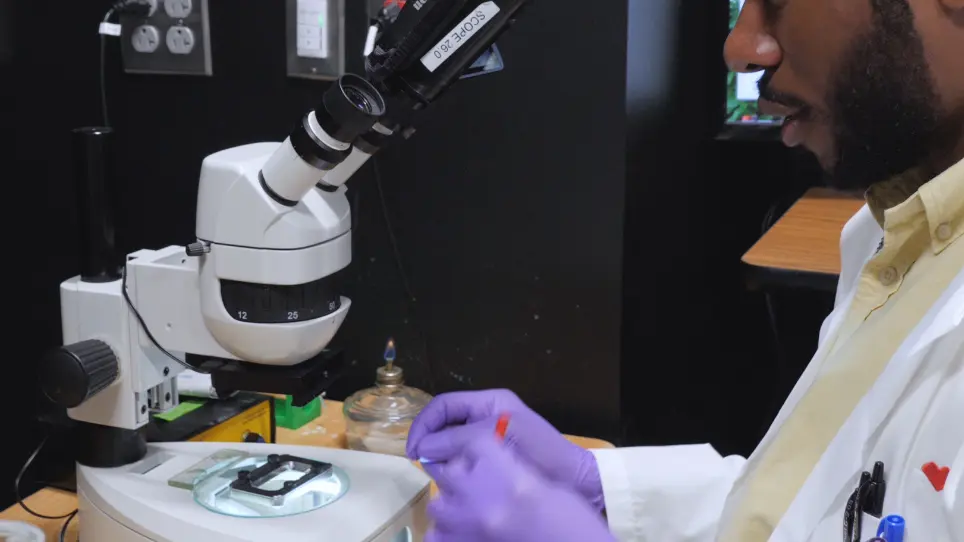 Isotropic Light-Sheet Microscopy and Automated Cell Lineage Analyses to Catalogue Caenorhabditis elegans Embryogenesis with Subcellular Resolution