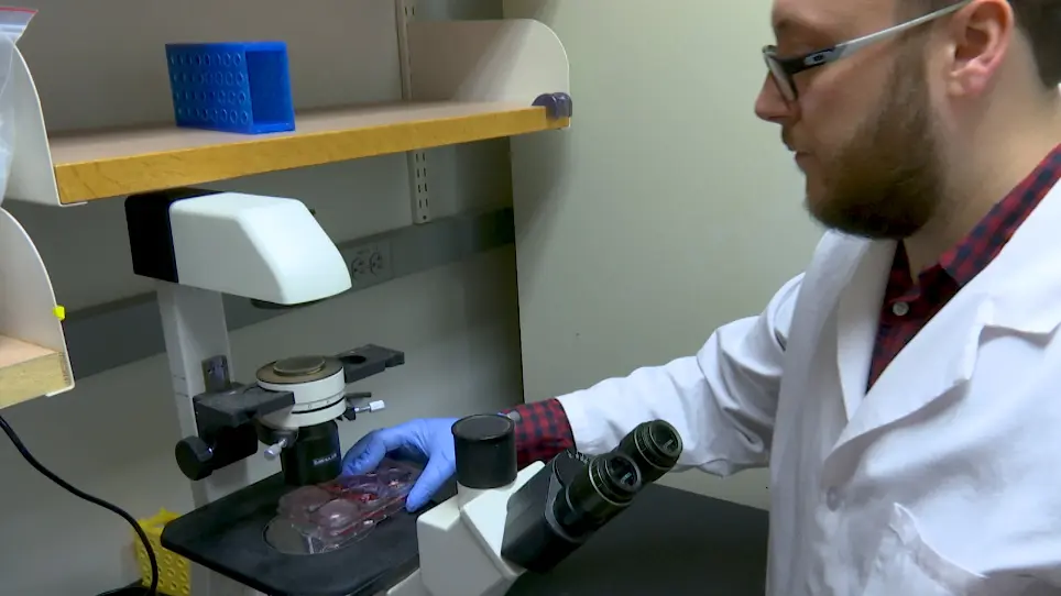 Rescue of Recombinant Zika Virus from a Bacterial Artificial Chromosome cDNA Clone
