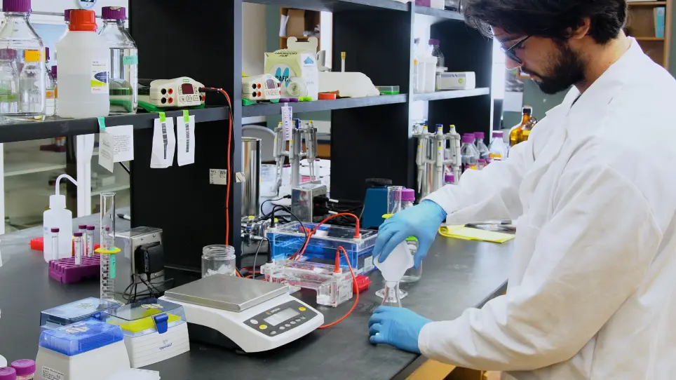 Genotyping of Sea Anemone during Early Development