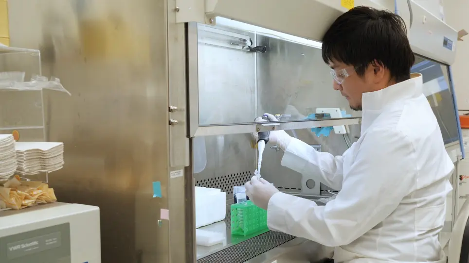Generation of Organoids from Mouse Extrahepatic Bile Ducts