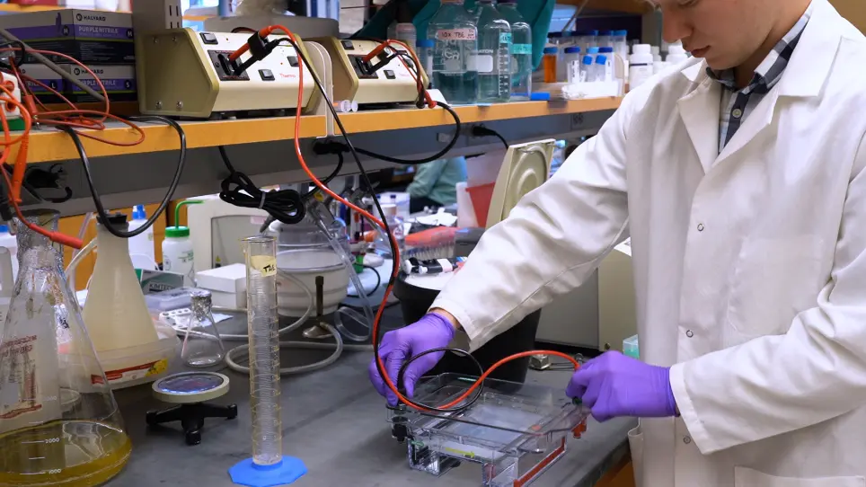 Expression and Purification of Nuclease-Free Oxygen Scavenger Protocatechuate 3,4-Dioxygenase