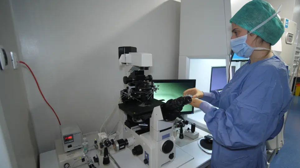Human Blastocyst Biopsy and Vitrification