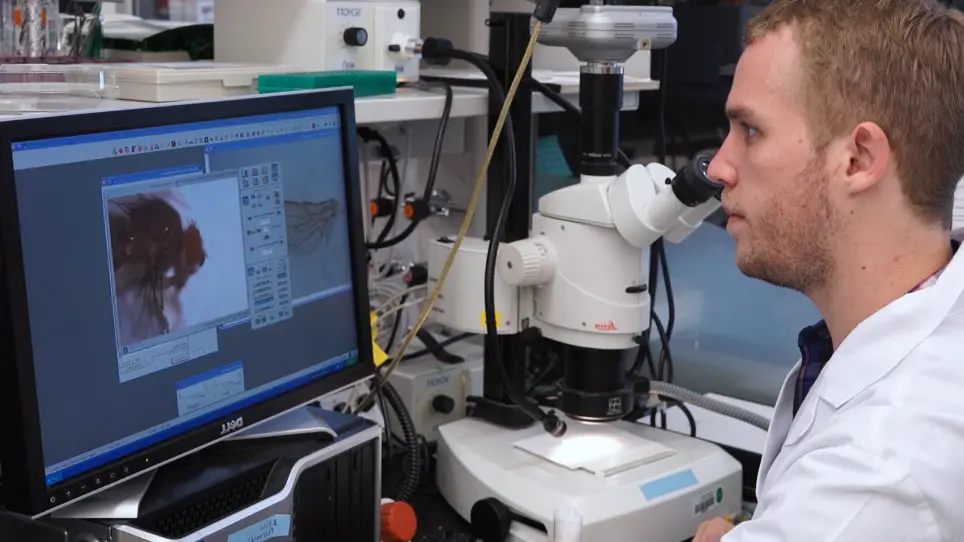 In Vivo Functional Study of Disease-associated Rare Human Variants Using <em>Drosophila</em>