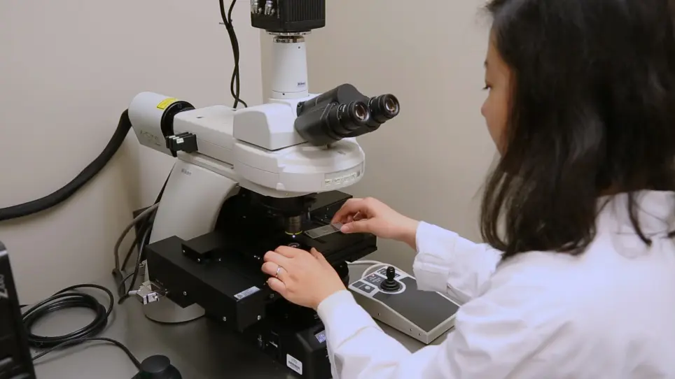 Measuring Sperm Guidance and Motility within the <em>Caenorhabditis elegans</em> Hermaphrodite Reproductive Tract