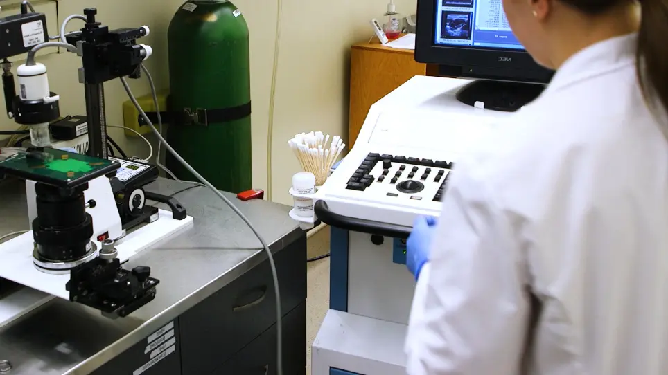 Ultrasonography of the Adult Male Urinary Tract for Urinary Functional Testing