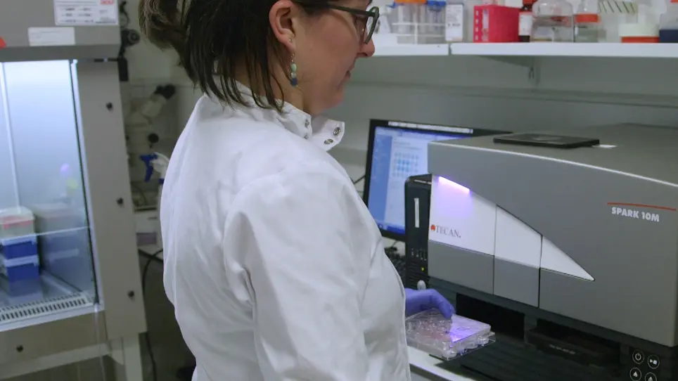Real-Time, Semi-Automated Fluorescent Measurement of the Airway Surface Liquid pH of Primary Human Airway Epithelial Cells