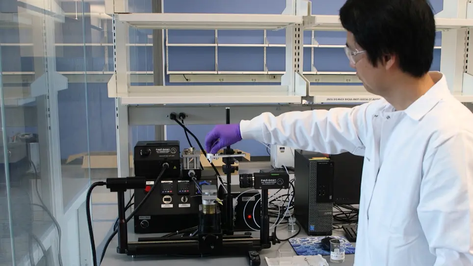 Accurate Determination of the Equilibrium Surface Tension Values with Area Perturbation Tests