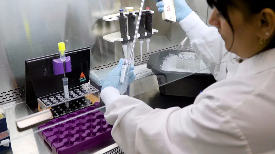 Pan-myeloid Differentiation of Human Cord Blood Derived CD34<sup>+</sup> Hematopoietic Stem and Progenitor Cells