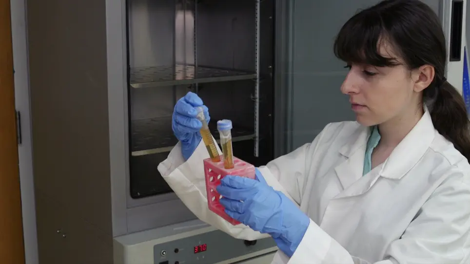 Enrichment and Detection of <em>Clostridium perfringens</em> Toxinotypes in Retail Food Samples