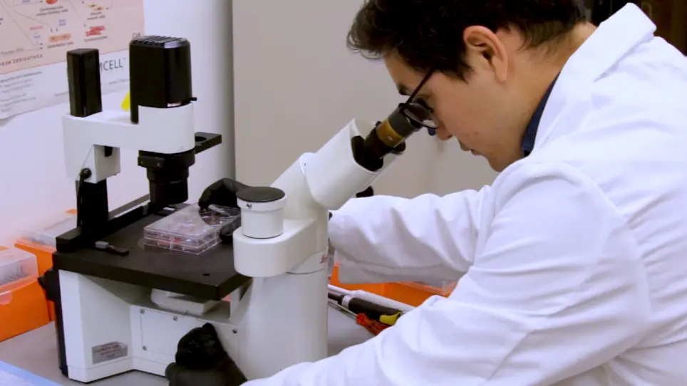 Generation of Defined Genomic Modifications Using CRISPR-CAS9 in Human Pluripotent Stem Cells