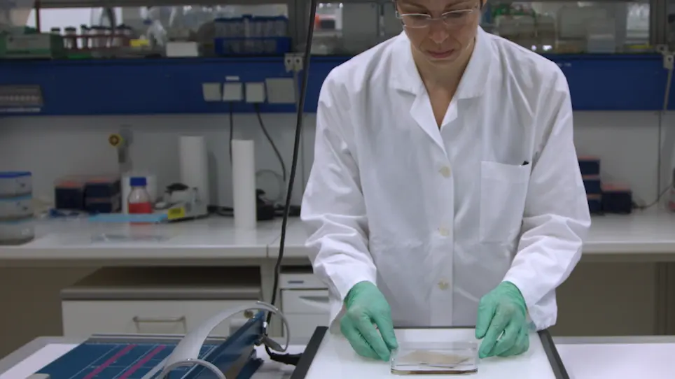 High-Resolution Complexome Profiling by Cryoslicing BN-MS Analysis