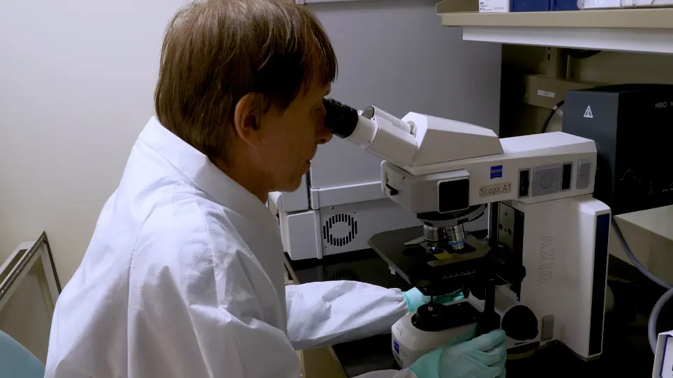 Immunohistochemistry Test for the Lyssavirus Antigen Detection from Formalin-Fixed Tissues