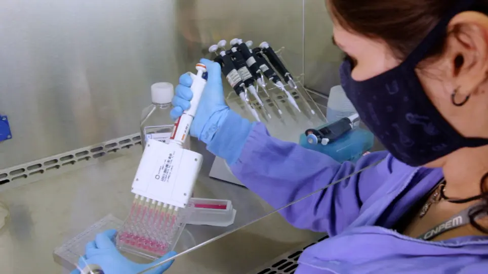 An Intestine/Liver Microphysiological System for Drug Pharmacokinetic and Toxicological Assessment