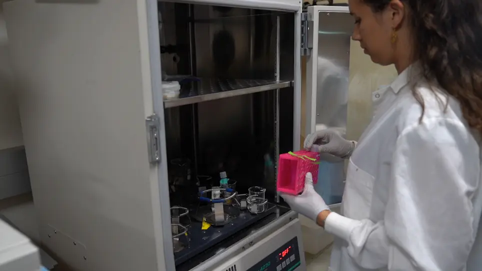Prospecting Microbial Strains for Bioremediation and Probiotics Development for Metaorganism Research and Preservation