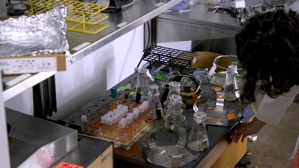 High Throughput Co-culture Assays for the Investigation of Microbial Interactions