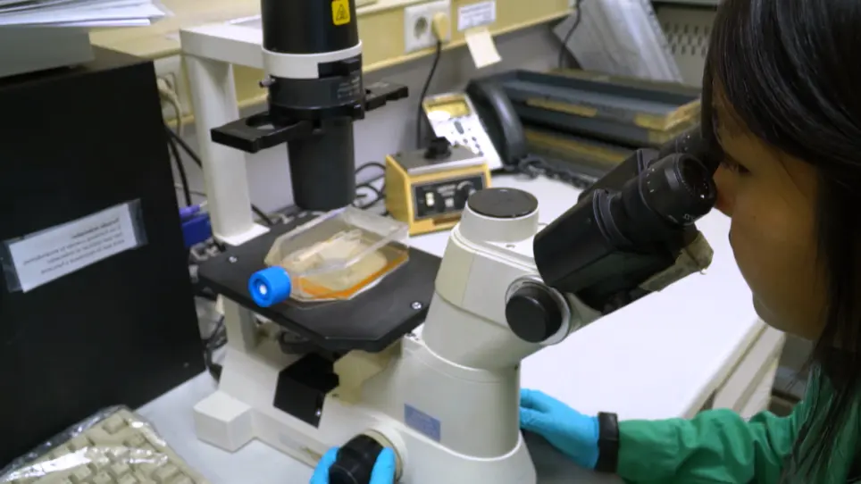 Imaging the Human Immunological Synapse