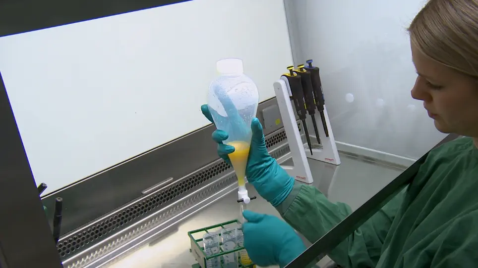 Isolation and Culture of Human Mature Adipocytes Using Membrane Mature Adipocyte Aggregate Cultures (MAAC)