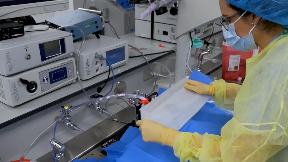 A Revised Surgical Approach to Induce Endolymphatic Hydrops in the Guinea Pig