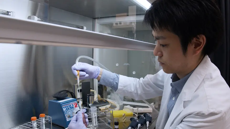 Monitoring PD-1-Blocking Antibodies Bound to T Cells Derived from a Drop of Peripheral Blood