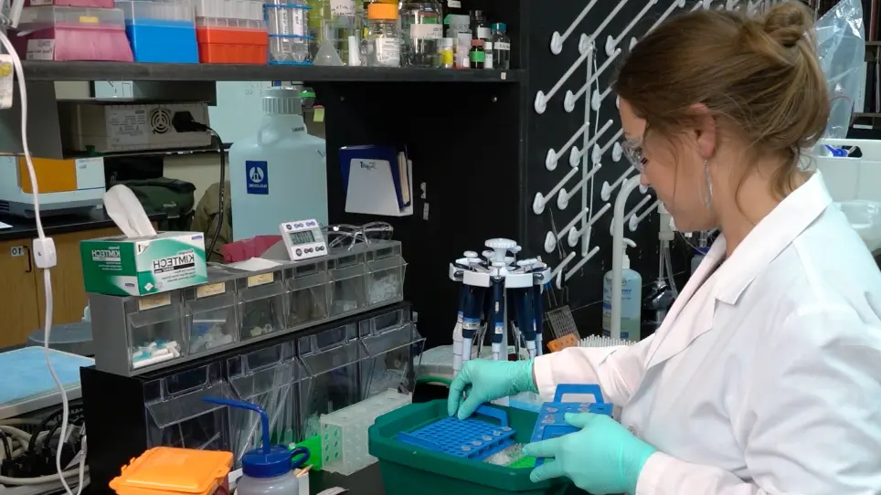 Use of Capillary Electrophoresis Immunoassay to Search for Potential Biomarkers of Amyotrophic Lateral Sclerosis in Human Platelets