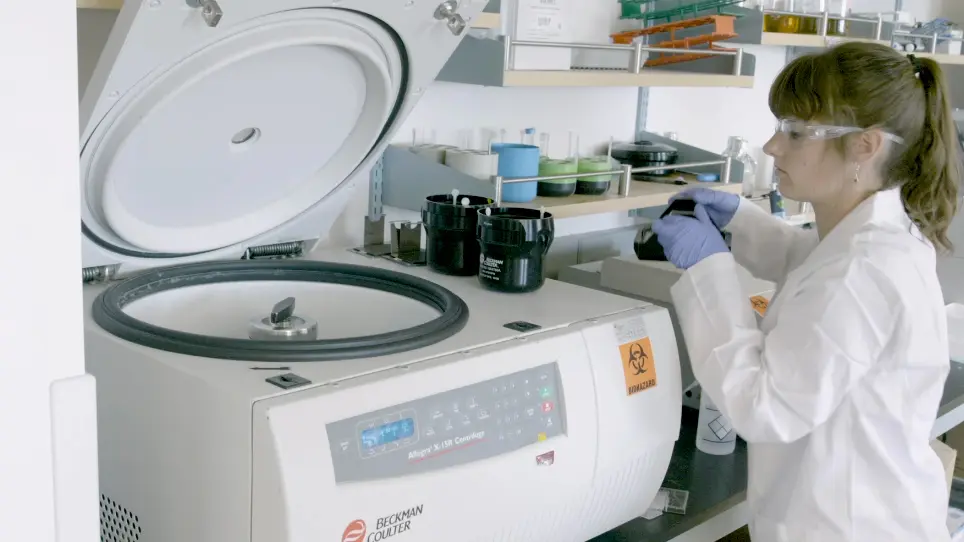Quantifying the Cytotoxicity of <em>Staphylococcus aureus</em> Against Human Polymorphonuclear Leukocytes