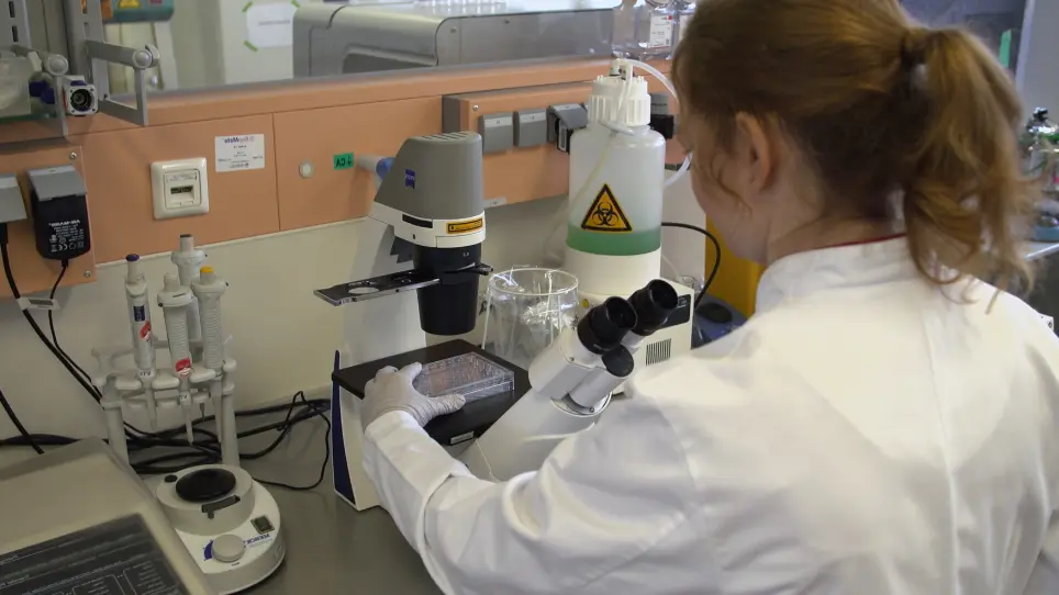 Universal and Efficient Electroporation Protocol for Genetic Engineering of Gastrointestinal Organoids