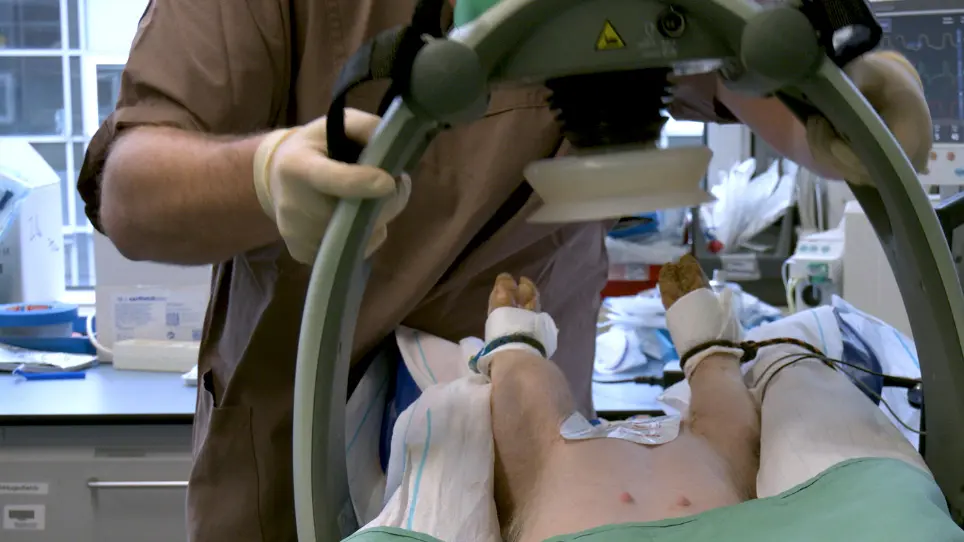 Standardized Model of Ventricular Fibrillation and Advanced Cardiac Life Support in Swine