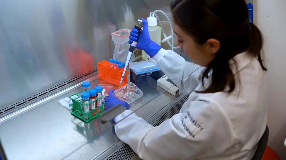 Generation of Mosaic Mammary Organoids by Differential Trypsinization