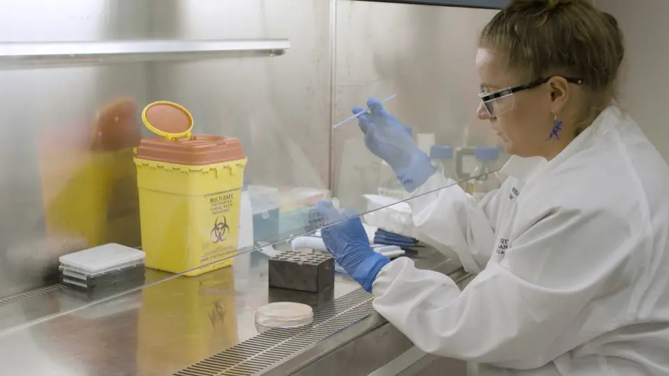 Visualization of Bacterial Resistance using Fluorescent Antibiotic Probes