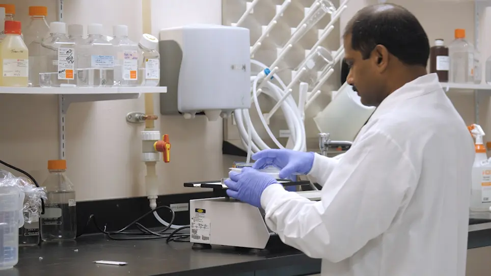 Demonstrating a Linear Relationship Between Vascular Endothelial Growth Factor and Luteinizing Hormone in Kidney Cortex Extracts