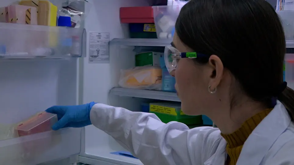 Preparing Protein Producing Synthetic Cells using Cell Free Bacterial Extracts, Liposomes and Emulsion Transfer