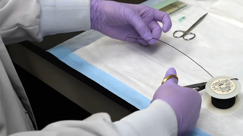 Repeated Orotracheal Intubation in Mice